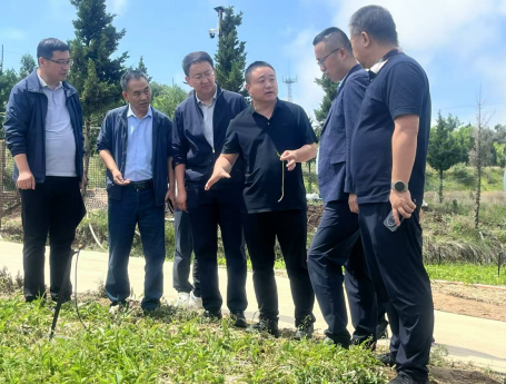 佛慈集团赴西和县考察交流，共绘合作新篇