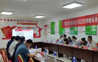 公司分采